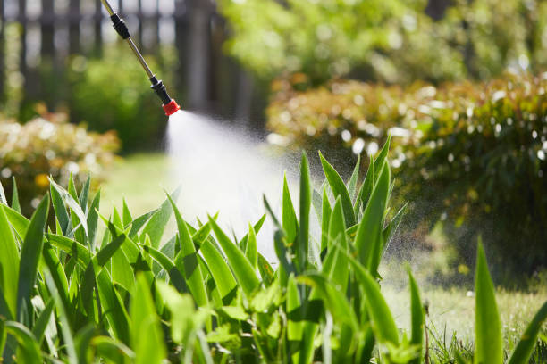 24/7 Emergency Ant Control experts in New Franklin, MO